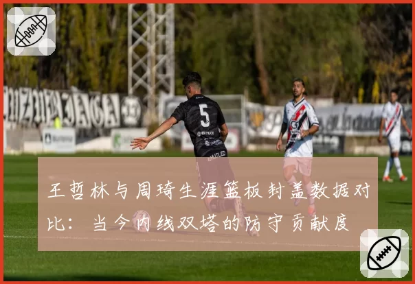 王哲林与周琦生涯篮板封盖数据对比:当今内线双塔的防守贡献度