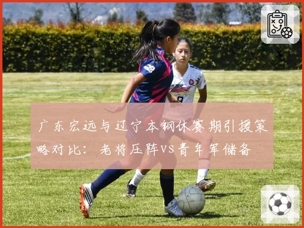 广东宏远与辽宁本钢休赛期引援策略对比：老将压阵vs青年军储备