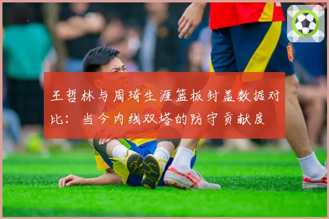 王哲林与周琦生涯篮板封盖数据对比:当今内线双塔的防守贡献度